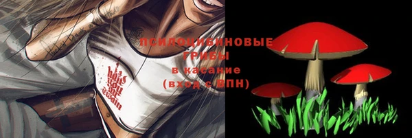 spice Володарск