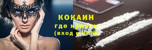 прущая мука Вяземский