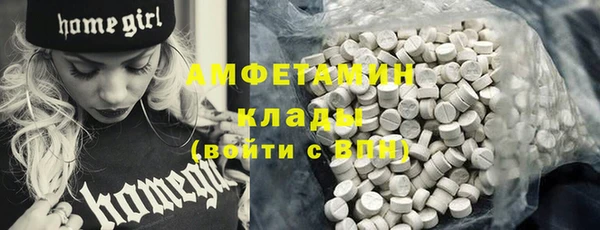 прущая мука Вяземский
