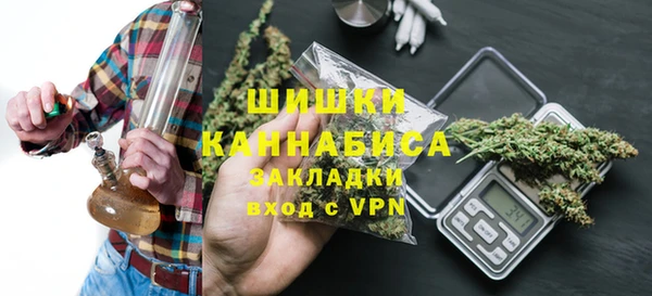 прущая мука Вяземский