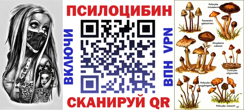 KRAKEN онион  Владимир  Псилоцибиновые грибы мицелий 